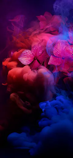 华为Mate 20 RS保时捷壁纸-多彩烟雾和花