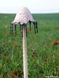 Shaggy Mane