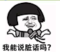 我能说脏话吗