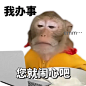小红书 - 你的生活指南