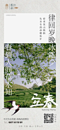 立春节气酒店茶山旅游