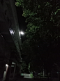 来自分享