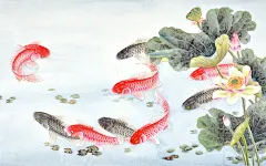 锦鲤插画高清桌面壁纸图片