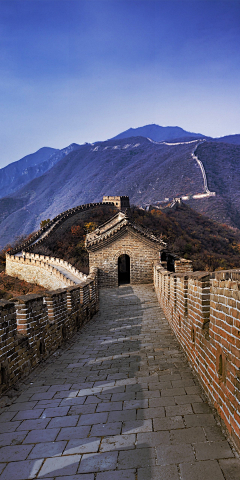 _竹子姑娘采集到底纹背景