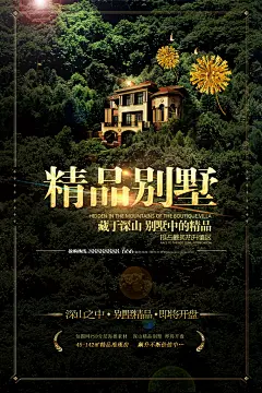 深山别墅开盘地产海报