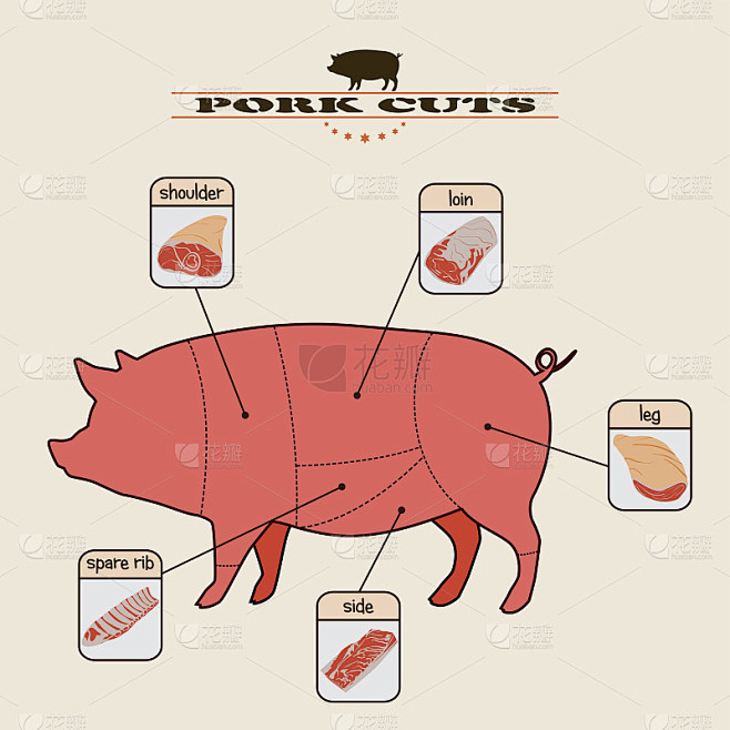猪肉切