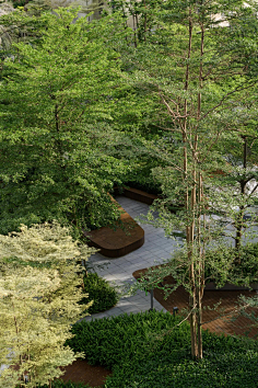 landscape林下空间