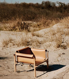 berryling采集到chairs