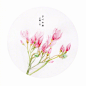 「禅这枝花」。（via @羊鷰 ） ​​​​