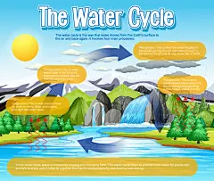 水循环动态插画素材 | 水蒸气降雨降水电磁信息图AI矢量设计资源(70).eps