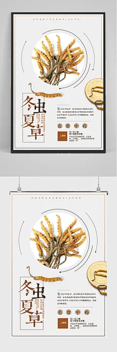 名贵中药冬虫夏草海报设计