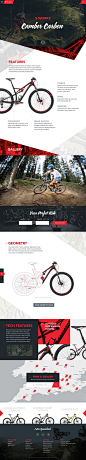 Specialized Website Concept by Green Chameleon.: 