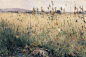 Karl Nordström

·

“I Norden måste landskapsmålaren vara skald.”
（“在北欧风景画家必须是一个诗人。”）
—— Karl Nordström...展开全文c