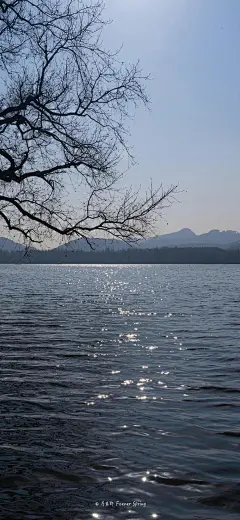 欢愉且胜意，万事皆可期   #风景手机壁纸