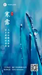 寒露节气秋天问候祝福自然手机海报