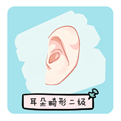 浅野先生丶采集到耳朵畸形等级