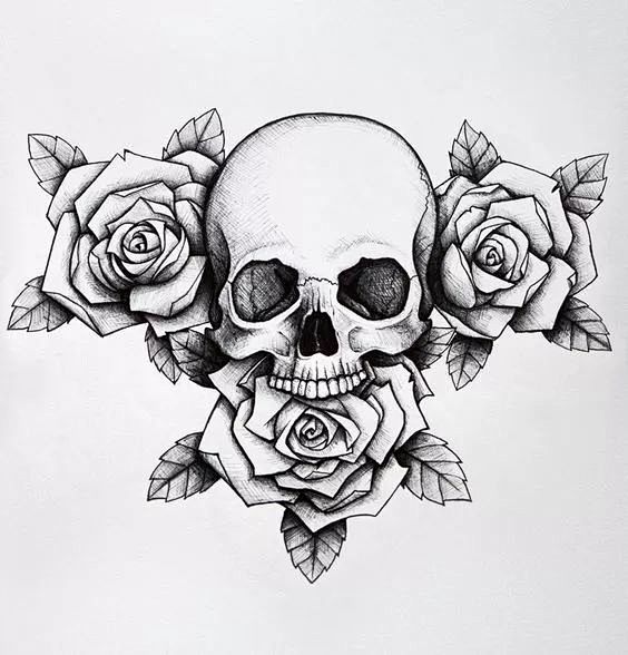 一组手绘骷髅头插画，犹如带刺的玫瑰！