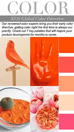 时尚配色设计方案图集丨服装产品网页室内平面海报logo图案配色