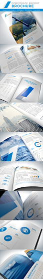 Corporate Report Brochure