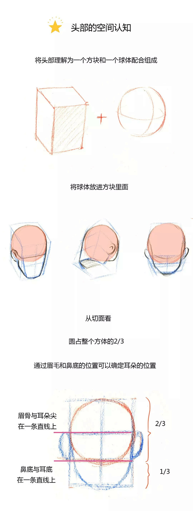 【春哥课堂】头部结构到底怎么画？ : 头...