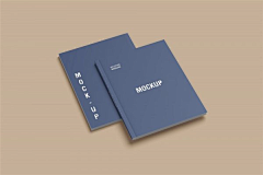 云汇素材官方采集到样机Mockups