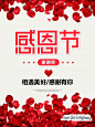 2017年感恩节做的
