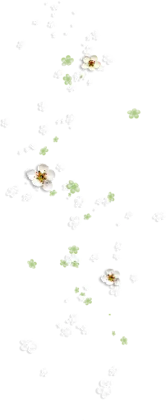 透明小素材