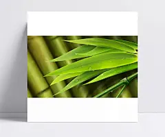 清新竹叶背景psd分层素材|清新竹叶,背景图片,清脆竹竿,竹叶,水珠,高清竹子,精美壁纸,清新,高清,源文件下载。