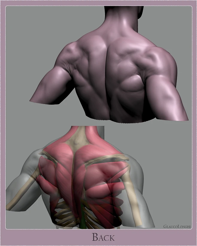 back_006-花瓣网
