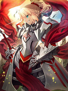 独孤的嘤嘤嘤采集到fate
