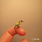 1:12的小动物微缩模型，来自艺术家 Fanni Kovács Sándor - kiinii App