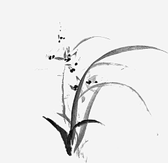 LC的女盆友采集到毛笔笔刷