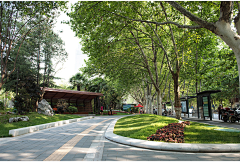 蓝蓝蓝呀采集到道路景观