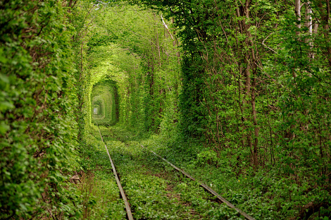 Photograph tunnel of...