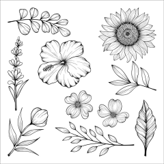 冻柠茶走茶采集到白描图