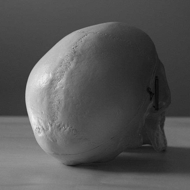 艺用解剖之人体多角度头骨姿态集28