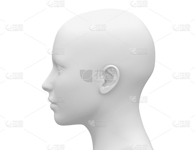 人的头部,侧面视角,人类肌肉,女性,人造模特,概念和主题,空白的,留白,水平画幅