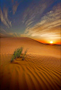 沙漠。 #美景#