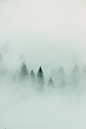 水墨画雾凇风景雪景朦胧