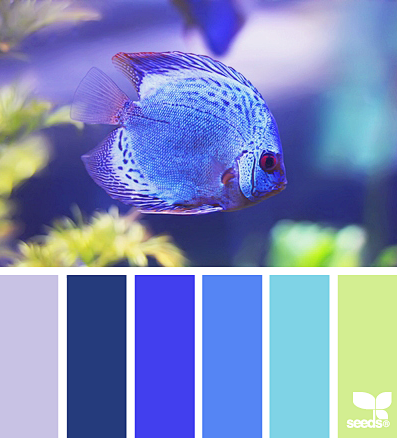 Design Seeds® | find...