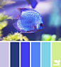 Design Seeds® | find your palette