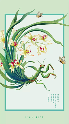 ZDIG7PdF采集到二十四节气