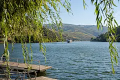 河流,斗罗河,河岸,农业,含酒精饮料,葡萄酒,自然界的状态,波特酒,葡萄,著名景点