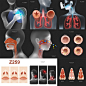Z259人体咽喉肺部呼吸道结构透视图医学食道鼻腔鼻炎PSD设计素材-淘宝网