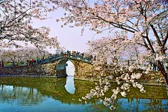 【门票】鼋头渚门票_无锡鼋头渚官网价格,团购,攻略,地址_驴妈妈旅游网