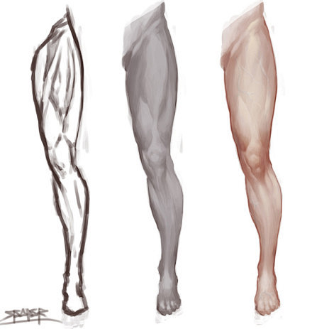 #绘画参考# 马一下腿部结构，腿的线条也...