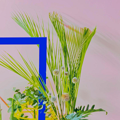 赵赵loveamp;love采集到背景