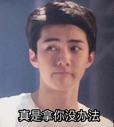 村长啊采集到EXO表情包