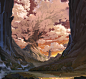 Giant tree_season2