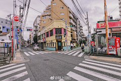 氵_鱼采集到日本